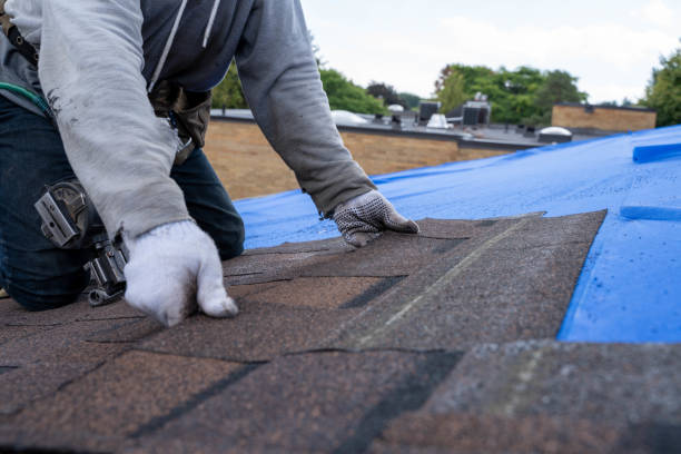 Quick and Trustworthy Emergency Roof Repair Services in Ferndale, MI