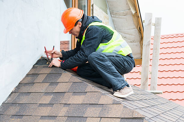 Best Metal Roofing Contractor  in Ferndale, MI