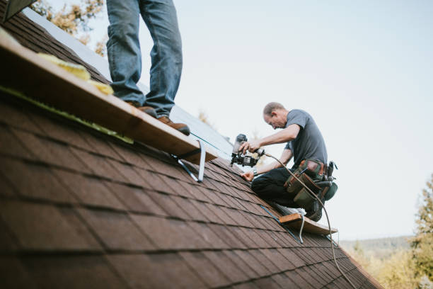 Roof Gutter Cleaning in Ferndale, MI